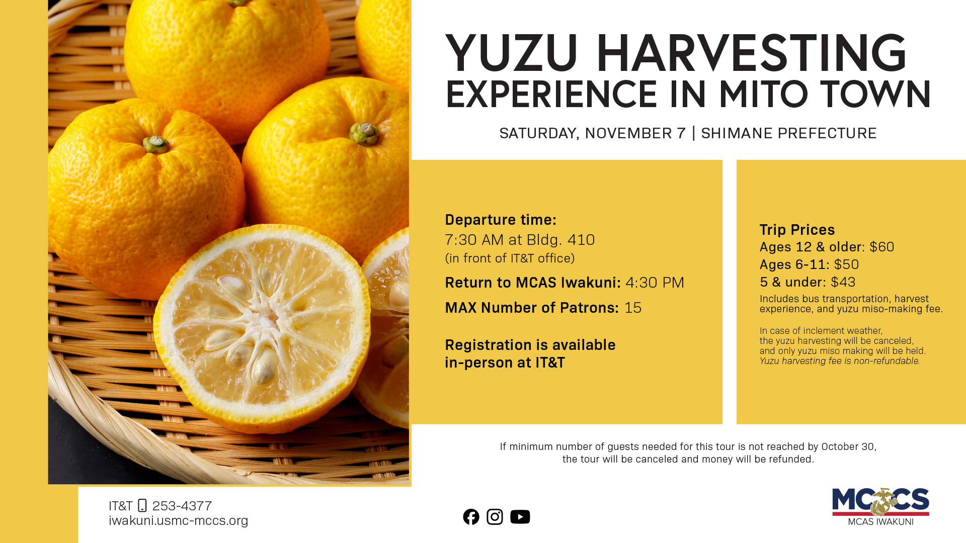 “Yuzu” Japanese Citrus Fruits Harvesting Experience