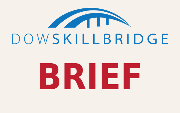 SkillBridge Brief (Virtual)
