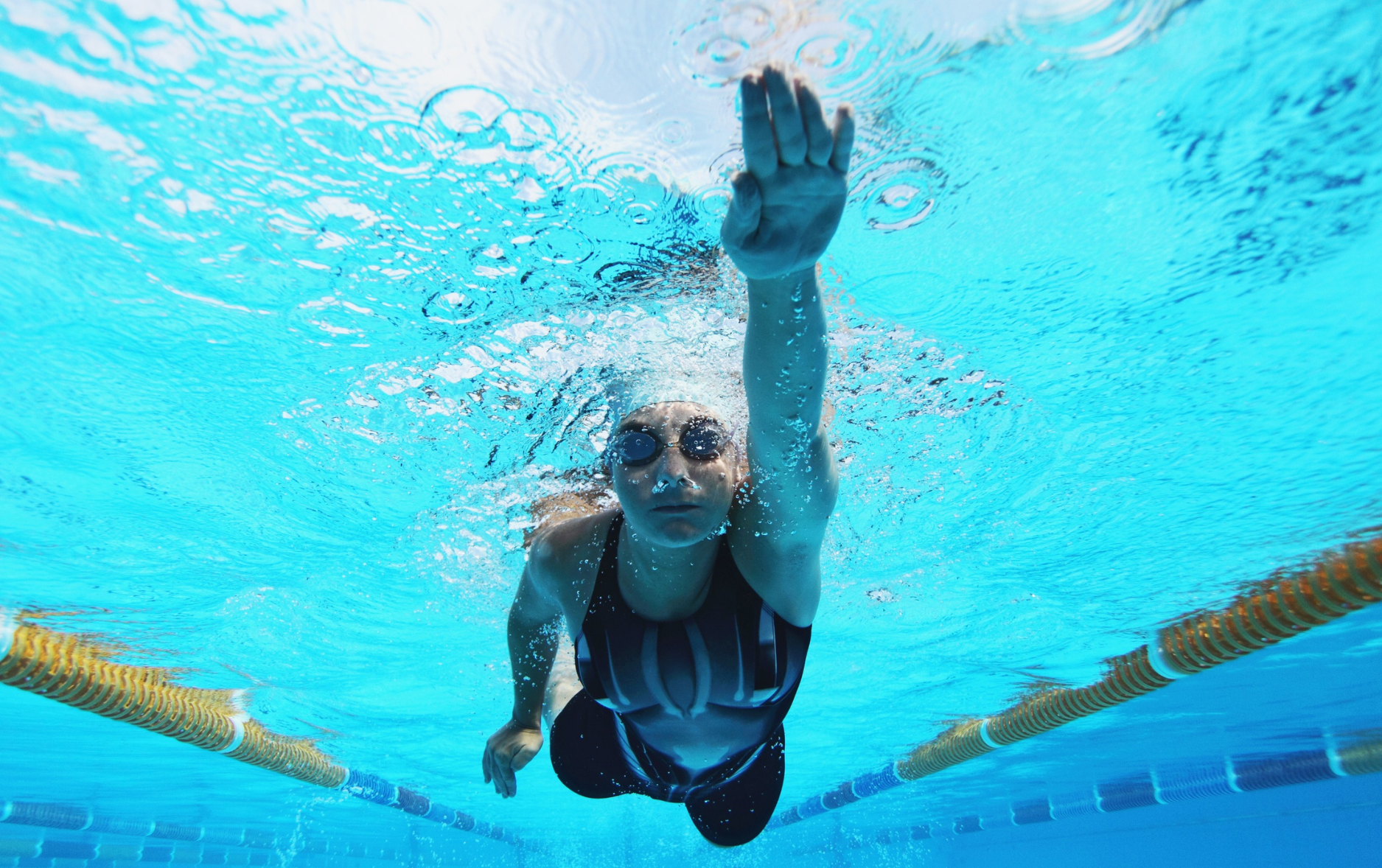 Free Adult Swim Lessons Month