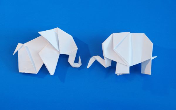 Origami in Japanese