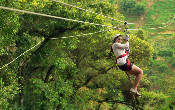 Forest Adventure Trip