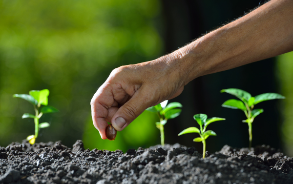 Earth Day Seed Planting